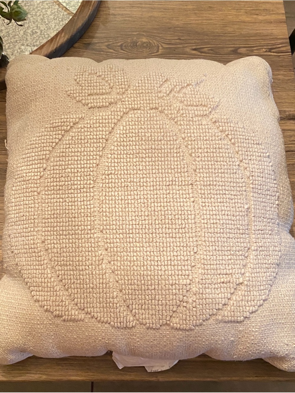Target Threshold Neutral Loop-Textured Pumpkin Fall Throw Pillow - 18x18, EUC